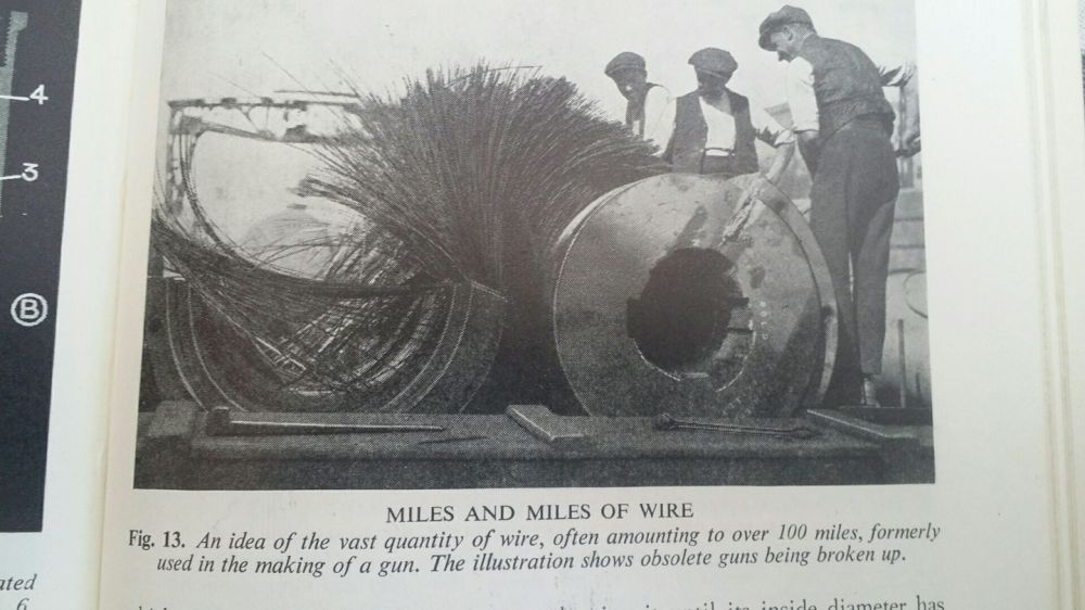 17016766_10211912921082381_6189963140139180289_o